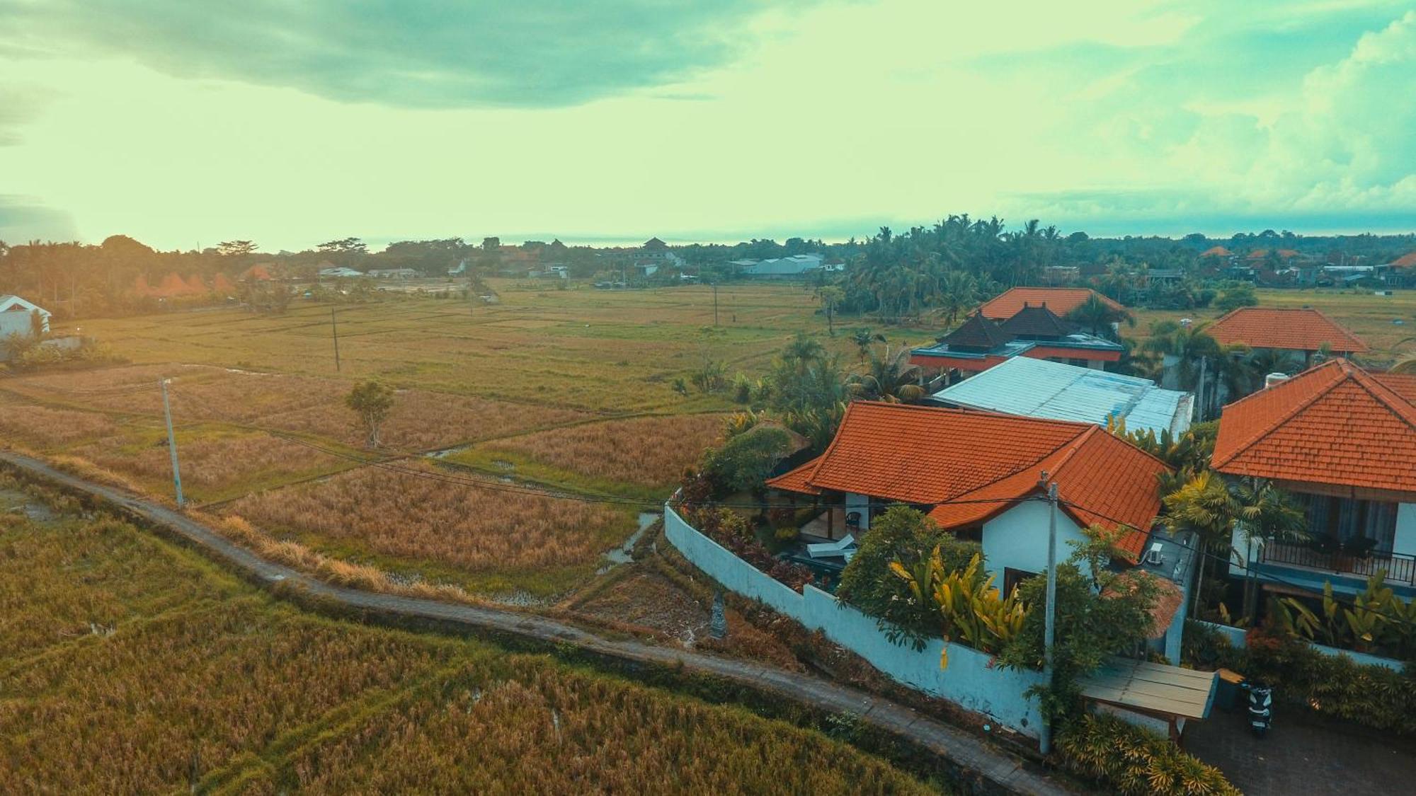 Villa Maya Ubud, Peaceful Rice Field View Exterior photo